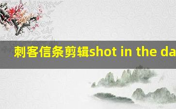 刺客信条剪辑shot in the dark